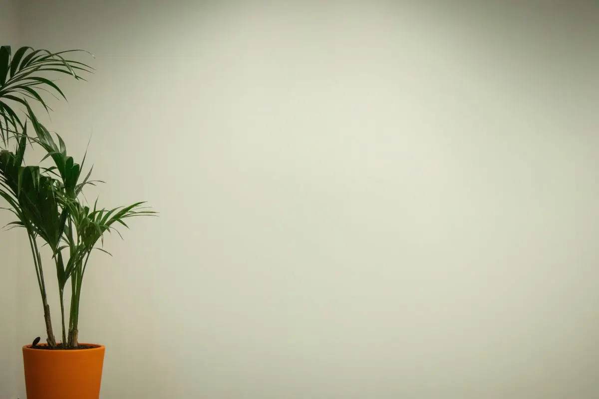 如何专业做采购？你要懂的这3个底层逻辑